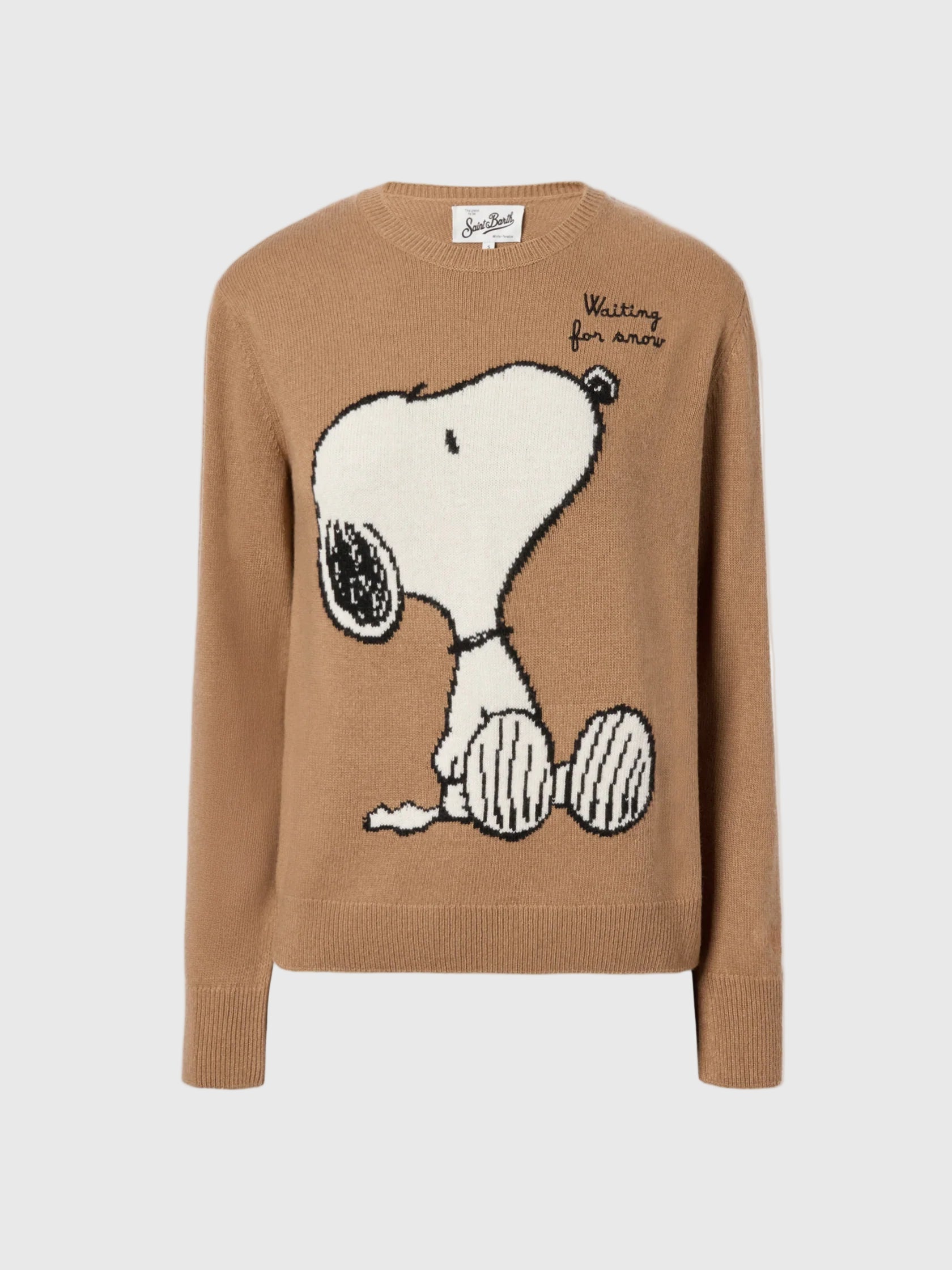FW25-QUE0010-00435I NEW QUEEN-SNOOPY WAITING SNOW 19 EMB