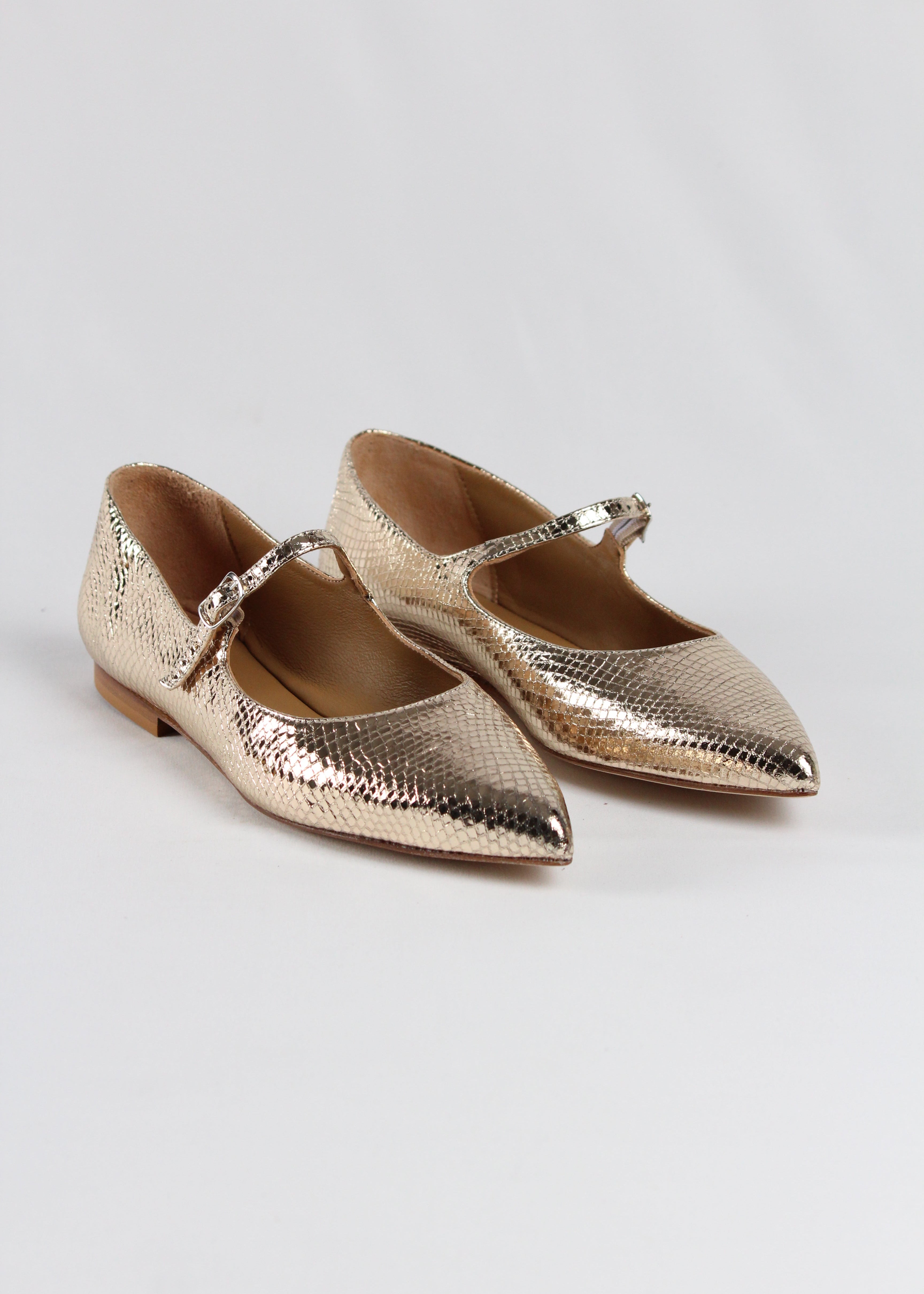 1405  BALLERINA MARY JANE WHIPS PLATINO