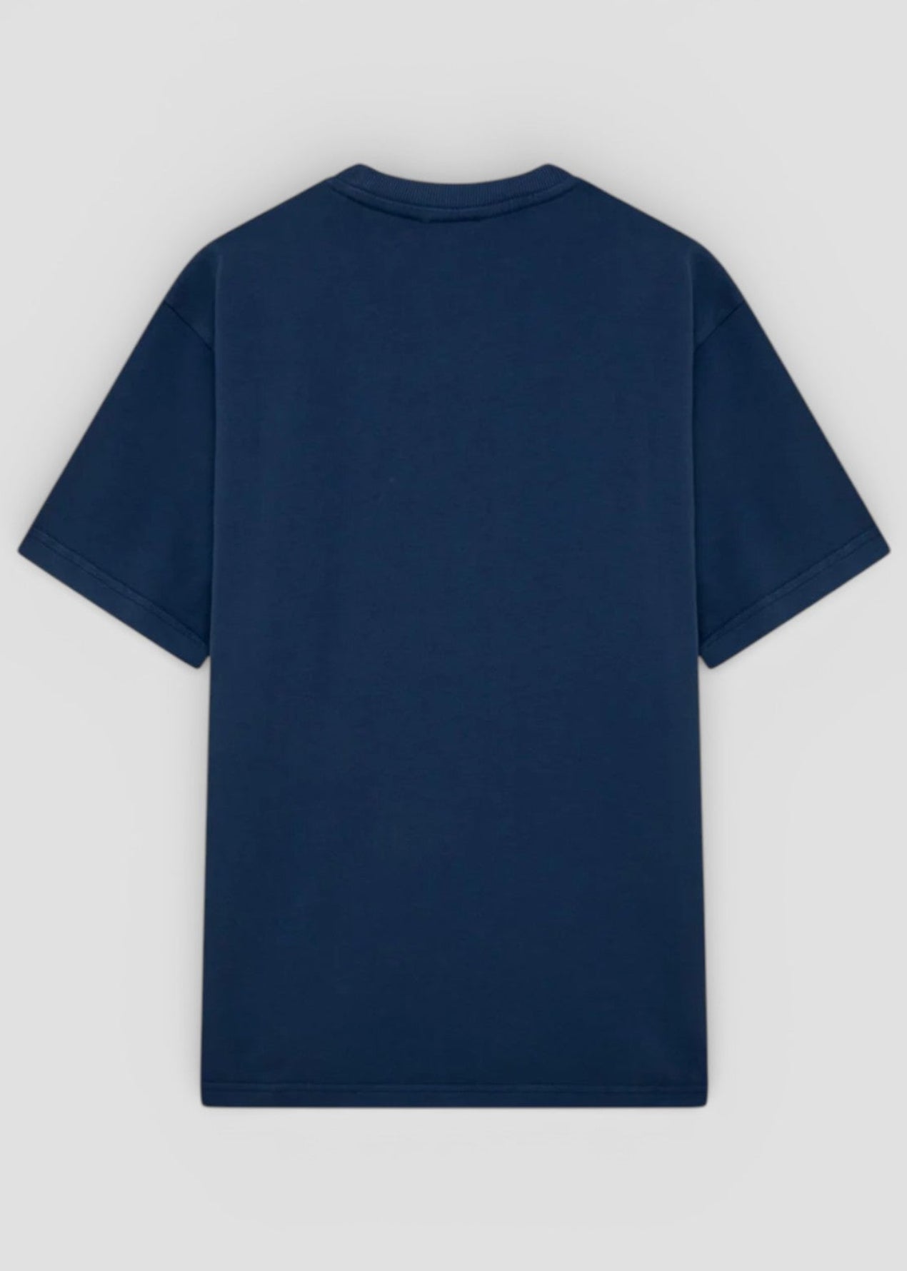 TSPX-053R T-SHIRT UNISEX HEAVY JERSEY DRONE